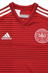 2013-14 DENMARK KOSZULKA L. BOYS 