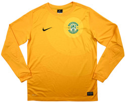 2013-14 HIBERNIAN GK LONGSLEEVE L. BOYS