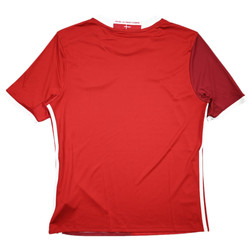 2015-16 DENMARK SHIRT L. BOYS