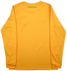 2013-14 HIBERNIAN GK LONGSLEEVE L. BOYS