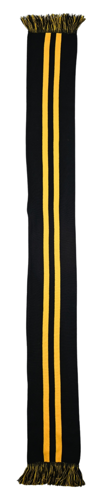 DYNAMO DRESDEN SZALIK