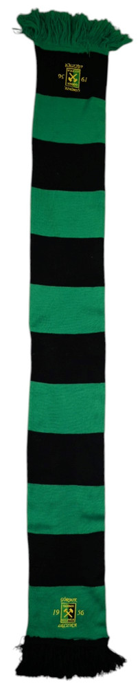 GÓRNIK ŁĘCZNA SZALIK