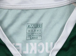 IRELAND BASKETBALL SHIRT L