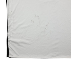 2015-16 GERMANY SHIRT L