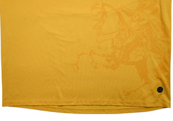 2024-25 DYNAMO DRESDEN *HAUPTMANN* SHIRT 3XL