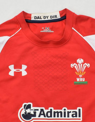 WALES RUGBY  KOSZULKA L