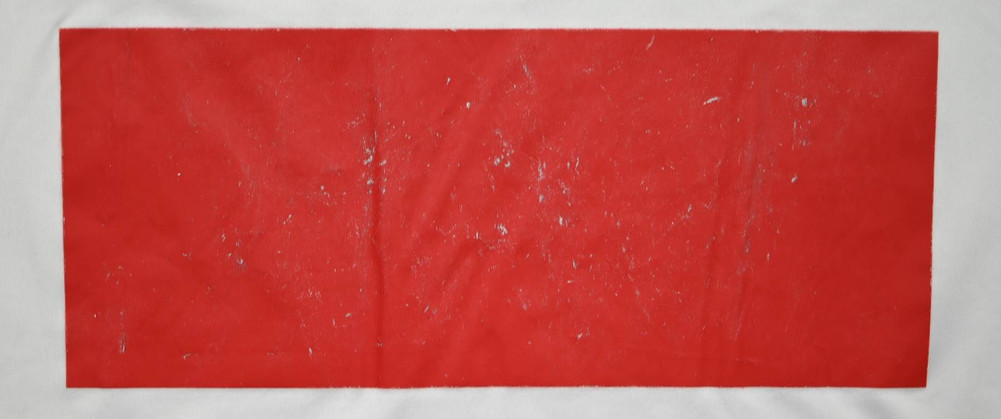 2012-13 POLAND KOSZULKA L