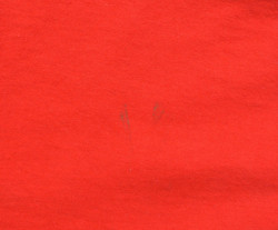 CALGARY FLAMES *RAYMOND* NHL KOSZULKA L