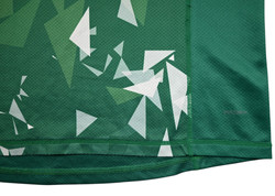 BRITISH & IRISH LIONS RUGBY SHIRT M 