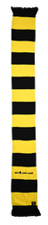BORUSSIA DORTMUND SIGNAL IDUNA PARK 1909 SCARF