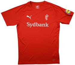 DHF DENMARK HANDBALL KOSZULKA S