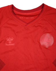 2022 DENMARK KOSZULKA L