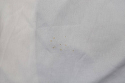 2010 -11 STELLA MARIS LONGSLEEVE KOSZULKA M