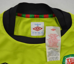 2011-12 WALES LONGSLEEVE KOSZULKA S