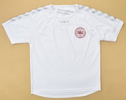 DENMARK SHIRT M