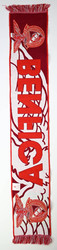 BENFICA SCARF