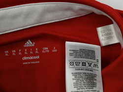 2016-17 BAYERN MUNCHEN *GOODYEAR* SHIRT XL