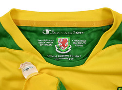 2008-10 WALES KOSZULKA L