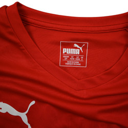 DHF DENMARK HANDBALL KOSZULKA S