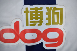 2011-12 WEST BROMWICH ALBION KOSZULKA L