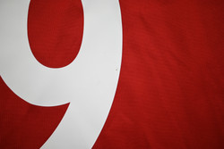 2016-17 BAYERN MUNCHEN *LEWANDOWSKI* KOSZULKA L. BOYS