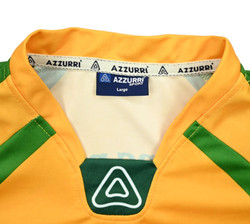DONEGAL GAA SHIRT L