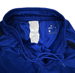 CHELSEA LONDON SPODENKI S