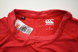 BRITISH AND IRISH LIONS RUGBY SHIRT L