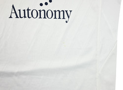 2010-11 TOTTENHAM HOTSPUR SHIRT L