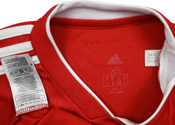 2018-19 HAMBURG SHIRT XS