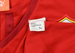 2013-14 CARDIFF CITY FC *DAEHLI* KOSZULKA L