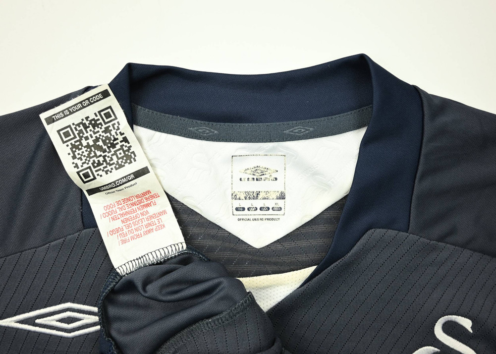 2008-09 SWANSEA CITY L