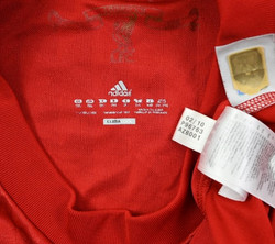 2010-12 LIVERPOOL *TORRES* SHIRT XXL