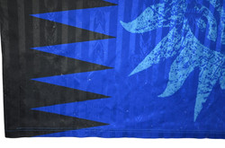 REUSCH OLDSCHOOL GOALKEEPER LONGSLEEVE SHIRT L