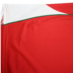 WALES RUGBY KOSZULKA L