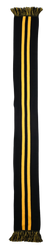 DYNAMO DRESDEN SCARF