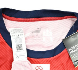 HAMBURG HANDBALL *SCHIMMELBAUER* SHIRT XXL