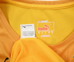 2013-14 HOFFENHEIM *FIRMINO* SHIRT L