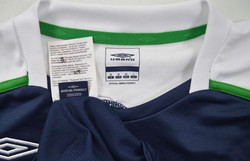 2008-09 NORTHERN IRELAND SHIRT M