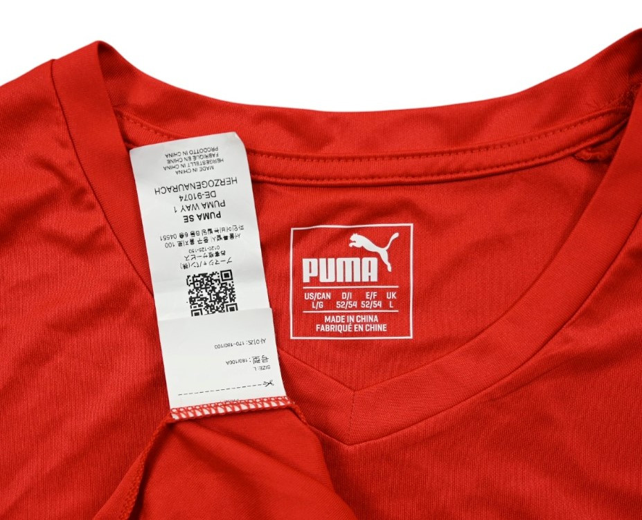 DHF DENMARK HANDBALL SHIRT L