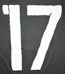 2015-17 GERMANY *BOATENG* SHIRTM