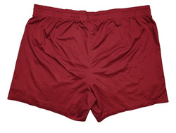 DYNAMO DRESDEN SHORTS L