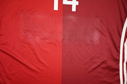 2016-17 DENMARK #14 PLAYER ISSUE KOSZULKA L