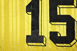 SV 06 LEHRTE SHIRT XL