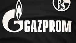 2013-15 FC SCHALKE 04 LONGSLEEVE S