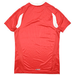 DENMARK HANDBALL SHIRT S