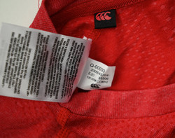 BRITISH AND IRISH LIONS RUGBY SHIRT L