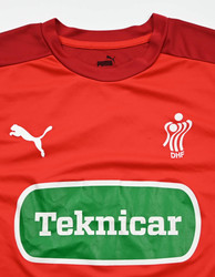 DENMARK DHF HANDBALL SHIRT M