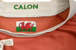 WALES RUGBY SHIRT L