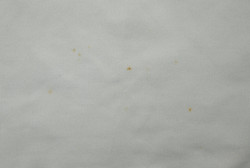 2008-09 WERDER BREMEN SHIRT L. BOYS